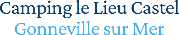 logo lieu castel